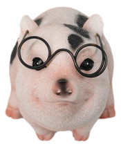 Adorable Realistic Animal Farm Napoleon Fat Piglet Pig Wearing Glasses F... - $23.99