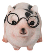 Adorable Realistic Animal Farm Napoleon Fat Piglet Pig Wearing Glasses F... - €20,76 EUR Adorable Realistic Animal Farm Napoleon Fat Piglet Pig Wearing Glasses F... - €20,76 EUR