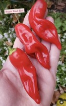 Item image 1 image 1