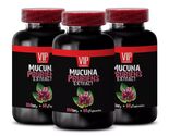 Mucuna pruriens powder - MUCUNA PRURIENS EXTRACT - Mucuna herbal energy 3B - $51.12