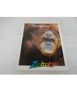 Orangutans by Zoobooks by John Bonnett Wexo (Hard-Cover Book, 2002) - £4.44 GBP