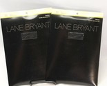 Lane Bryant Daysheer Pantyhose Black Size C 170-200 lbs. 2 pair - $11.75