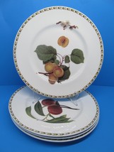 Queens The Royal Horticultural Society England Hookers Fruit 4 Dinner Plates VGC - £30.50 GBP