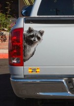 Peeking Raccoon Car Truck Vehicle Vinyl Decal Sticker FREE SHIPPING - £7.86 GBP