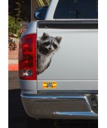 Peeking Raccoon Car Truck Vehicle Vinyl Decal Sticker FREE SHIPPING - £7.88 GBP