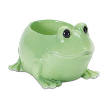 Mini Frog Planter (Set of 2) - $49.60