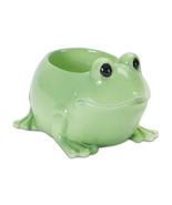 Mini Frog Planter (Set of 2) - 790565 - $49.60