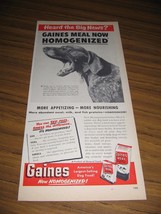 1951 Print Ad Gaines Meal Dog Food Hunting Dog General Foods - $9.25