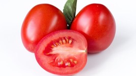 GIB 50 Seeds Easy To Grow Lunch Box Tomato Hybrid Vegetable Tomatoe - £7.04 GBP