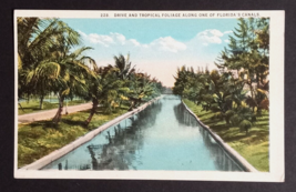 Drive &amp; Tropical Foliage Along Florida Canal Palm Trees FL UNP Postcard ... - $4.99