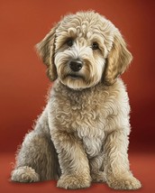 35.5&quot; X 44&quot; Panel Labradoodle Red Puppy Dog Animals Cotton Fabric Panel D759.59 - £11.74 GBP