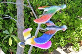 Amazing Balancing Bird - C&amp;H Solutions (Color May Vary) - $127.67 MXN