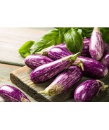 20 Eggplant Rosa Bianica Heirloom Seeds Ew92001 Fresh For Garden - $13.97