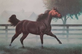 The Quarter Horse - Limited Edition Signed and Numbered Print by Chuck DeHaan -  - £159.87 GBP