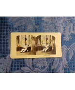 Stereocard Steroeview The Serenade Black Americana Banjo Player Tinted C... - $54.43 CAD
