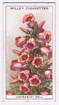 Wills Cigarette Card Garden Flowers #10 Canterbury Bell - $0.98