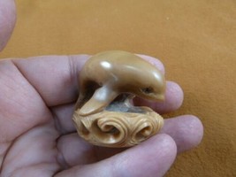 (tb-whal-36) baby Beluga Whale Tagua NUT palm figurine Bali carving love... - $54.69