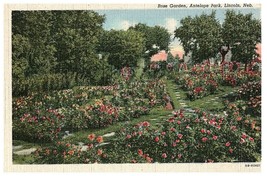 Rose Garden, Antelope Park, Lincoln Nebraska Linen Postcard Posted 1949 - £5.78 GBP