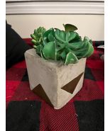 Faux Succulent Plant In Geometric Etched Square Pot  Artificial Plant - $7.72