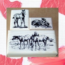 3 Horses new mounted horse rubber stamps - foal stamp stamps - £15.75 GBP