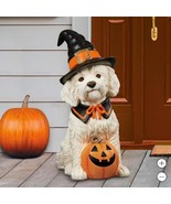 Halloween Witch Dog Greeter Doodle Hand-Painted Lifelike Textured Fur - $2,246.40 MXN