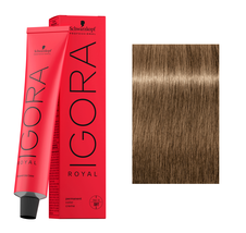 Schwarzkopf IGORA ROYAL Hair Color - 8-00 Light Blonde Natural Extra