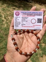 LAB CERTIFIED Natural RUDRAKSHA Rudraksh Bracelet 925 sterling silver 8&quot;... - $42.71 CAD