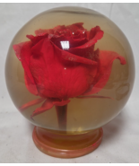 Forever Pink ROSE In Glass Ball Water Dome Globe Large Real Rose 6x6 in. - $780.83 MXN