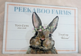 New Glass Easter Brown Bunny Rabbit Cutting Board Counter Saver Peekaboo Farms - £13.48 GBP