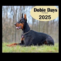 Doberman Dog Calendar 2025 Doberman Pinscher Calendar 2025 Dobie Calendar - $27.00
