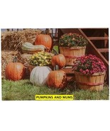 Lighted Harvest Canvas Wall Art Sign Sunflower or Mums Picture Fall Home... - $27.09 CAD+