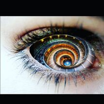 Item image 1 image 1