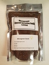 &quot;COOL BEANS n SPROUTS&quot; Brand, Broccoli Seeds for Sprouting Microgreens,1 pound,  - £11.74 GBP