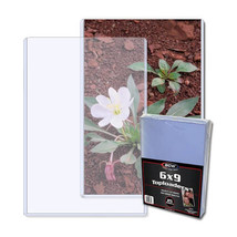 BCW Topload Holder Photo - 6&quot; x 9&quot; - £47.96 GBP