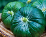 Cupcake Squash Seeds - For - Fast Shipping - $5.93