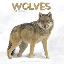 Wolves 2025 Square Wall Calendar | Animal, Wildlife Calendar ENGLISH EDI... - $17.00