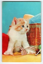 Orange &amp; White Kitten Cat Postcard Chrome Unposted Vintage Dexter Cute - £3.64 GBP