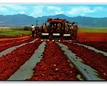 Harvesting Machinery Dole Plantation Honolulu HI UNP Chrome Postcard V2 - $4.42