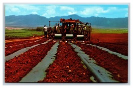 Harvesting Machinery Dole Plantation Honolulu HI UNP Chrome Postcard V2 - £3.52 GBP