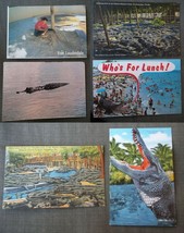 Alligators Jungle Queen Island  Everglades St Augustine Florida 6 Postcards - $7.92