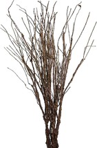 Misswarm 10 Pcs. Lifelike Bendable Artificial Branch Flower Dried Stems, Curly - £25.54 GBP