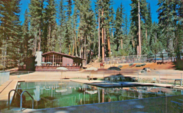 Pinecrest California~Camp BLUE-LAIR Of Golden BEAR-FAMILY CAMP~1967 Postcard - £9.59 GBP