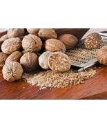 Indian Premium Whole Nutmeg, Jaifal, Untreated FREE SHIP - $13.46+