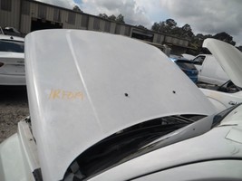 Hood Fits 08-12 LIBERTY 104854263 - $3,002.98 MXN