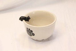 Cat Bowl Pet company John Paul - $17.63