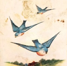 1920s Hearty Greeting Card Postcard Spring Blue Birds Antique Ephemera E83C - $19.99