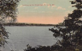 Looking up the Mississippi St. Louis Missouri MO 1913 Matson Postcard C47 - £2.34 GBP