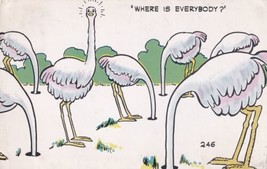 Where Is Everybody Ostrich Comicard by Clem Postcard 1957 Long Beach CA D04 - £2.39 GBP