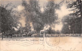 Cambridge Massachusetts The Washington Elm~Rotograph #A659 Publ Postcard 1908 - £3.50 GBP