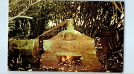 Moonshine Still in the hills and deep woods of Kentucky Postcard - £4.05 GBP